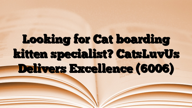 Looking for Cat boarding kitten specialist? CatsLuvUs Delivers Excellence
