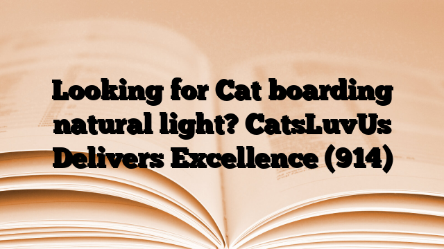 Looking for Cat boarding natural light? CatsLuvUs Delivers Excellence