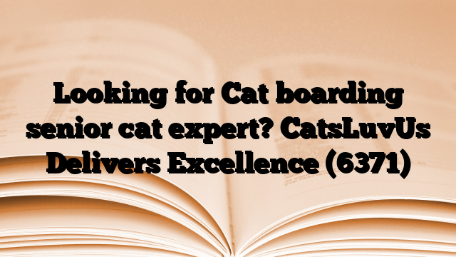 Looking for Cat boarding senior cat expert? CatsLuvUs Delivers Excellence