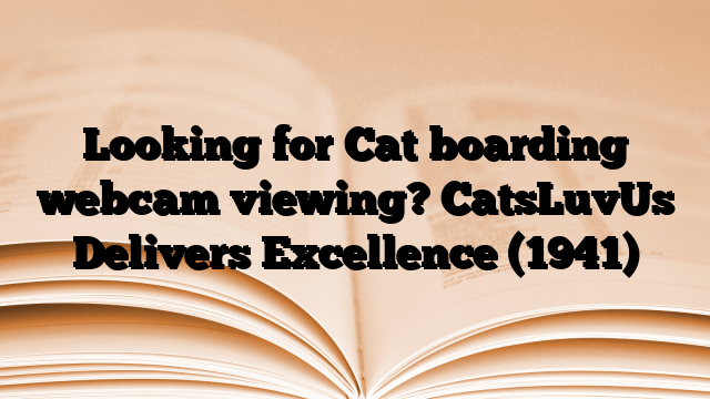 Looking for Cat boarding webcam viewing? CatsLuvUs Delivers Excellence