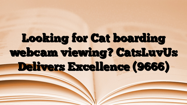Looking for Cat boarding webcam viewing? CatsLuvUs Delivers Excellence