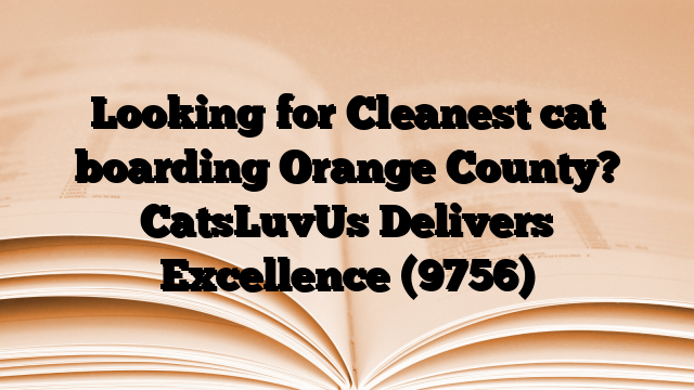 Looking for Cleanest cat boarding Orange County? CatsLuvUs Delivers Excellence