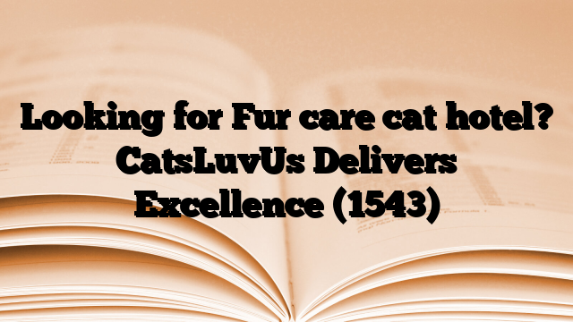 Looking for Fur care cat hotel? CatsLuvUs Delivers Excellence
