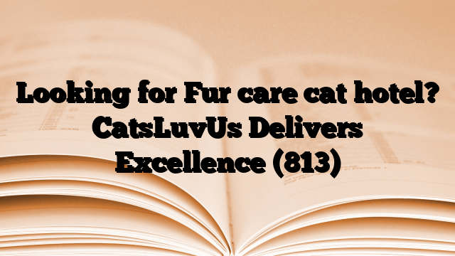 Looking for Fur care cat hotel? CatsLuvUs Delivers Excellence