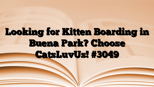 Looking for Kitten Boarding in Buena Park? Choose CatsLuvUs!