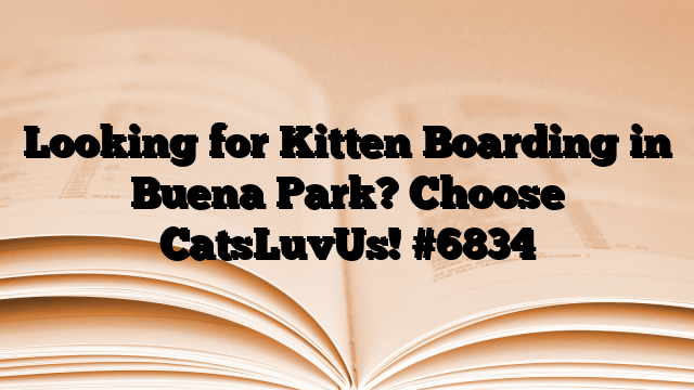 Looking for Kitten Boarding in Buena Park? Choose CatsLuvUs!