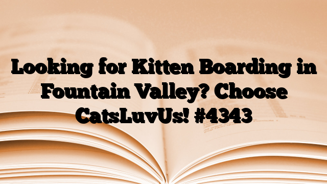 Looking for Kitten Boarding in Fountain Valley? Choose CatsLuvUs!