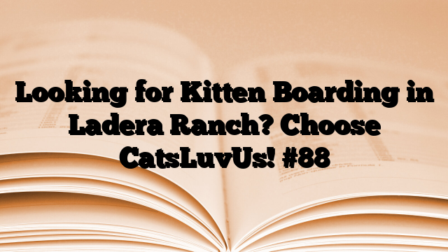 Looking for Kitten Boarding in Ladera Ranch? Choose CatsLuvUs!