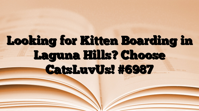 Looking for Kitten Boarding in Laguna Hills? Choose CatsLuvUs!