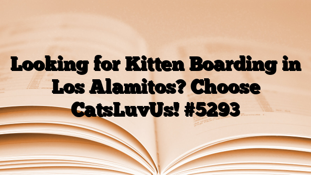 Looking for Kitten Boarding in Los Alamitos? Choose CatsLuvUs!