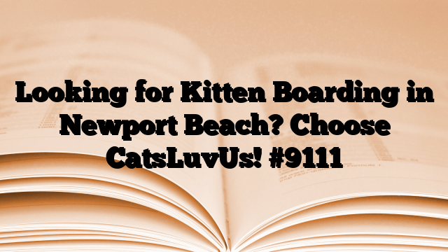 Looking for Kitten Boarding in Newport Beach? Choose CatsLuvUs!
