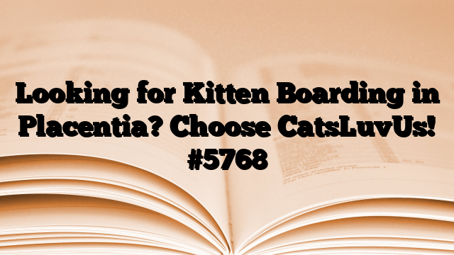 Looking for Kitten Boarding in Placentia? Choose CatsLuvUs!