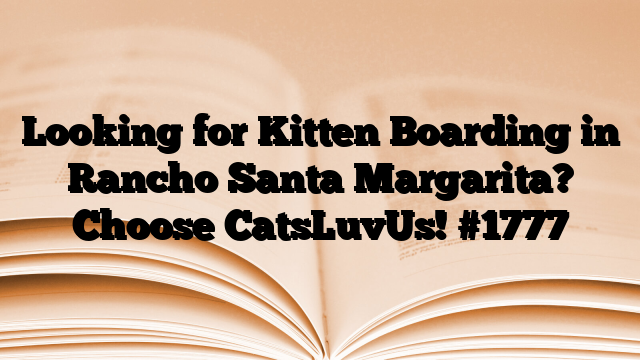 Looking for Kitten Boarding in Rancho Santa Margarita? Choose CatsLuvUs!