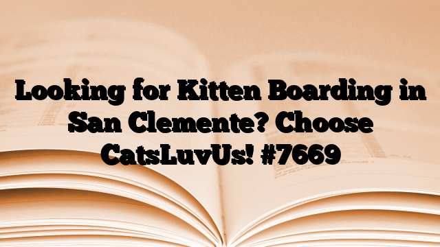 Looking for Kitten Boarding in San Clemente? Choose CatsLuvUs!