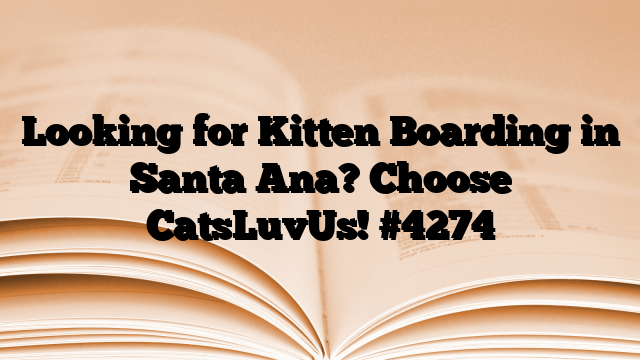 Looking for Kitten Boarding in Santa Ana? Choose CatsLuvUs!