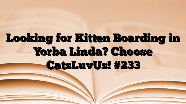 Looking for Kitten Boarding in Yorba Linda? Choose CatsLuvUs!