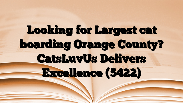Looking for Largest cat boarding Orange County? CatsLuvUs Delivers Excellence