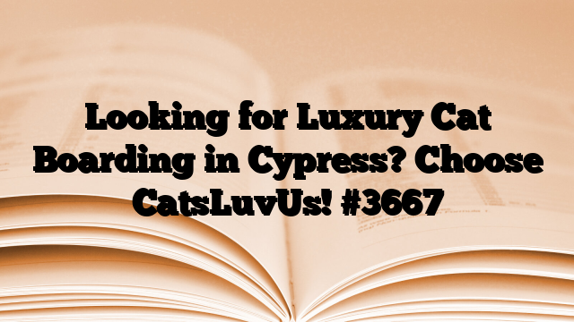 Looking for Luxury Cat Boarding in Cypress? Choose CatsLuvUs!