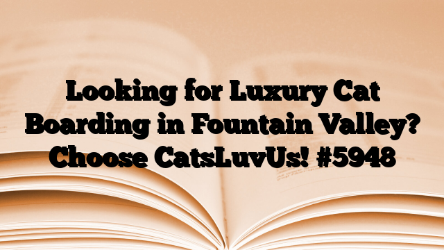 Looking for Luxury Cat Boarding in Fountain Valley? Choose CatsLuvUs!