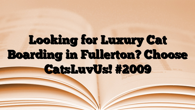 Looking for Luxury Cat Boarding in Fullerton? Choose CatsLuvUs!