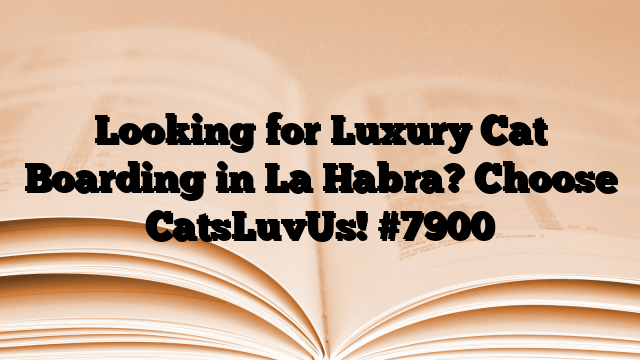 Looking for Luxury Cat Boarding in La Habra? Choose CatsLuvUs!