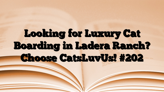 Looking for Luxury Cat Boarding in Ladera Ranch? Choose CatsLuvUs!