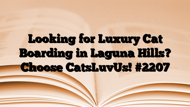 Looking for Luxury Cat Boarding in Laguna Hills? Choose CatsLuvUs!