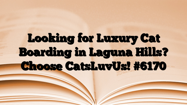 Looking for Luxury Cat Boarding in Laguna Hills? Choose CatsLuvUs!