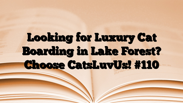 Looking for Luxury Cat Boarding in Lake Forest? Choose CatsLuvUs!