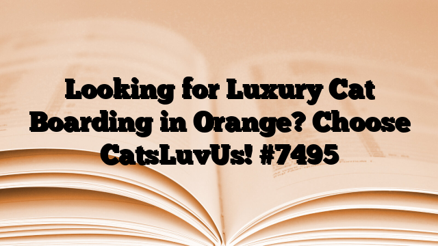 Looking for Luxury Cat Boarding in Orange? Choose CatsLuvUs!