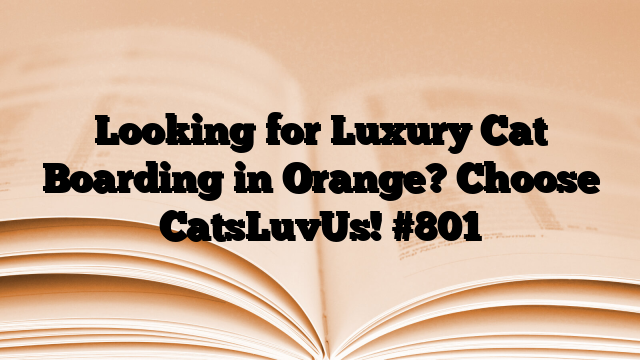 Looking for Luxury Cat Boarding in Orange? Choose CatsLuvUs!