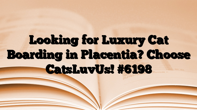 Looking for Luxury Cat Boarding in Placentia? Choose CatsLuvUs!