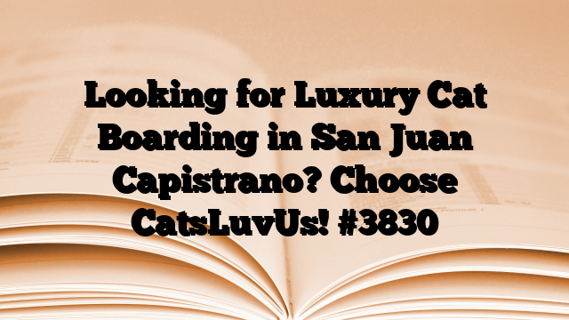 Looking for Luxury Cat Boarding in San Juan Capistrano? Choose CatsLuvUs!