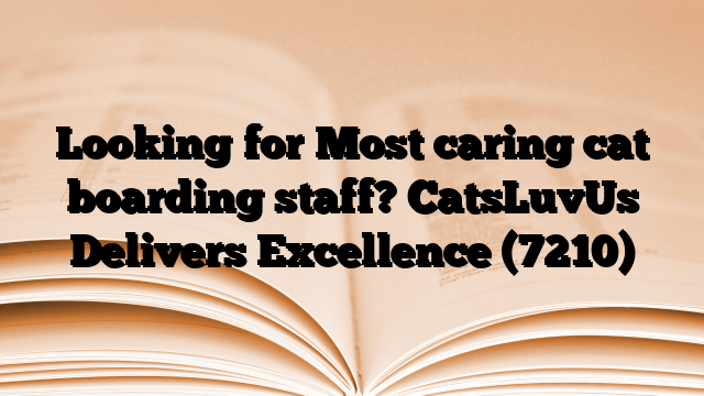 Looking for Most caring cat boarding staff? CatsLuvUs Delivers Excellence