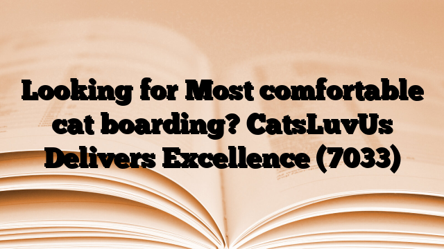 Looking for Most comfortable cat boarding? CatsLuvUs Delivers Excellence