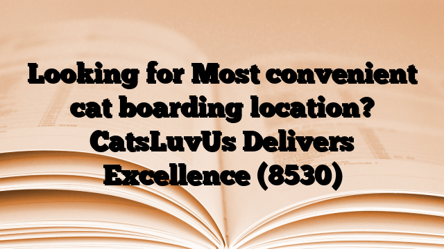 Looking for Most convenient cat boarding location? CatsLuvUs Delivers Excellence
