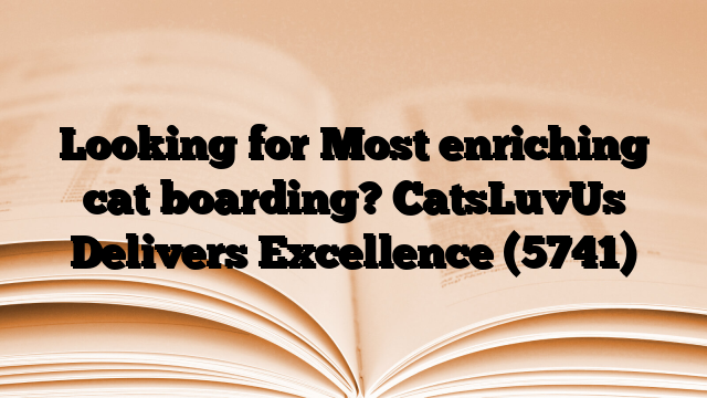 Looking for Most enriching cat boarding? CatsLuvUs Delivers Excellence