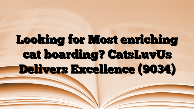 Looking for Most enriching cat boarding? CatsLuvUs Delivers Excellence