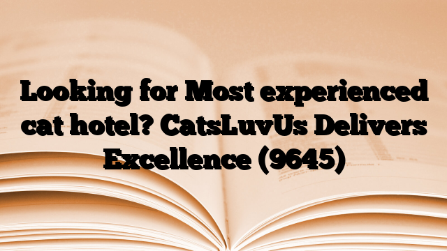 Looking for Most experienced cat hotel? CatsLuvUs Delivers Excellence