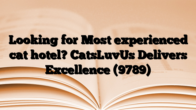 Looking for Most experienced cat hotel? CatsLuvUs Delivers Excellence