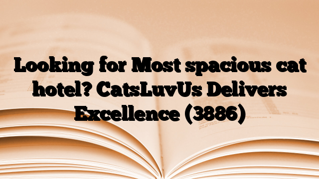Looking for Most spacious cat hotel? CatsLuvUs Delivers Excellence