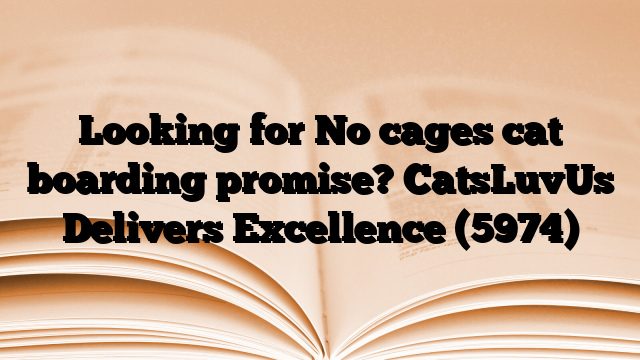 Looking for No cages cat boarding promise? CatsLuvUs Delivers Excellence