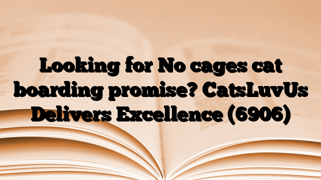 Looking for No cages cat boarding promise? CatsLuvUs Delivers Excellence
