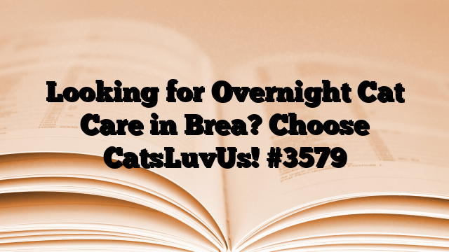 Looking for Overnight Cat Care in Brea? Choose CatsLuvUs!