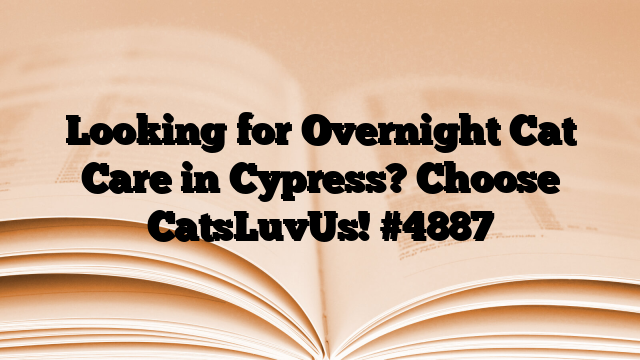 Looking for Overnight Cat Care in Cypress? Choose CatsLuvUs!