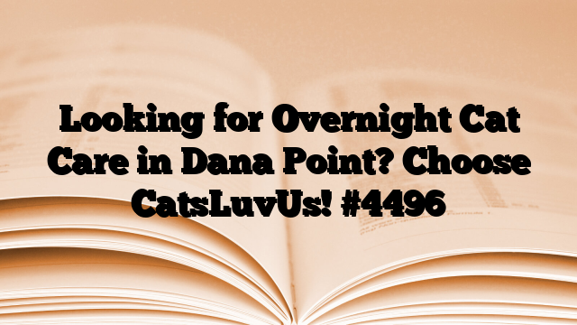 Looking for Overnight Cat Care in Dana Point? Choose CatsLuvUs!