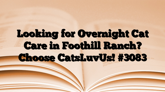 Looking for Overnight Cat Care in Foothill Ranch? Choose CatsLuvUs!