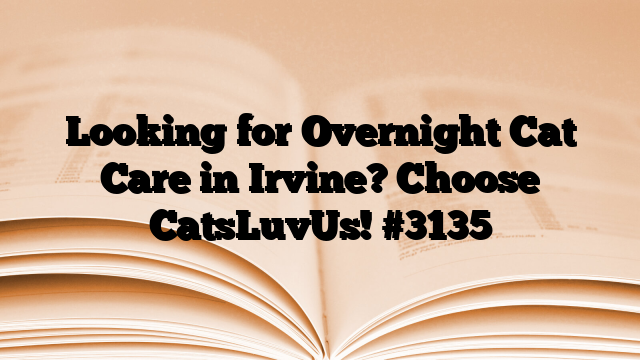 Looking for Overnight Cat Care in Irvine? Choose CatsLuvUs!