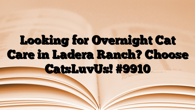 Looking for Overnight Cat Care in Ladera Ranch? Choose CatsLuvUs!