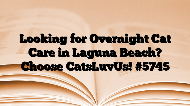 Looking for Overnight Cat Care in Laguna Beach? Choose CatsLuvUs!